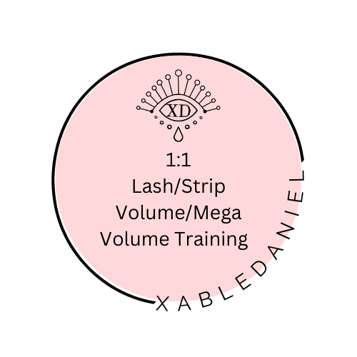 1:1  hybrid , wet set, hybrid, vol/ Mega vol Training